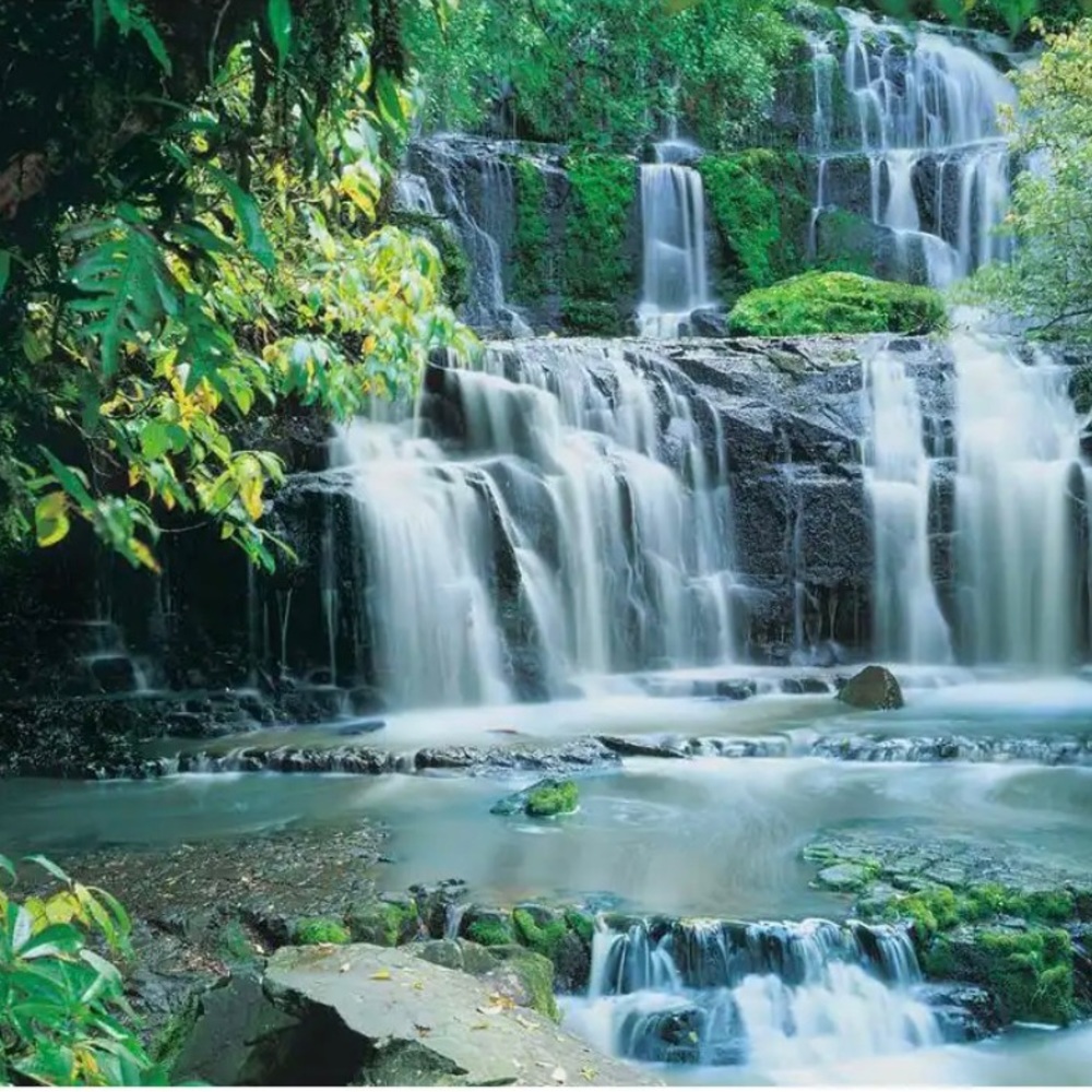 Meet your Posher, Suha